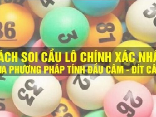 Kinh nghiệm đánh lô đầu câm – Cách Đánh Lô Đầu Câm Đít Câm